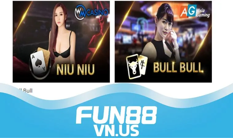 Bull Bull là gì Bull Bull là gì